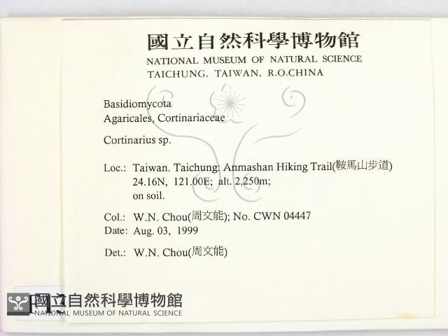登錄號:F0013371藏品圖，第2張