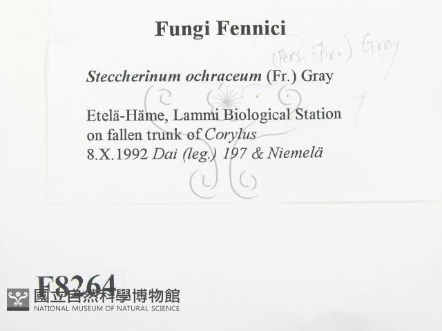 登錄號:F0008264藏品圖，第2張