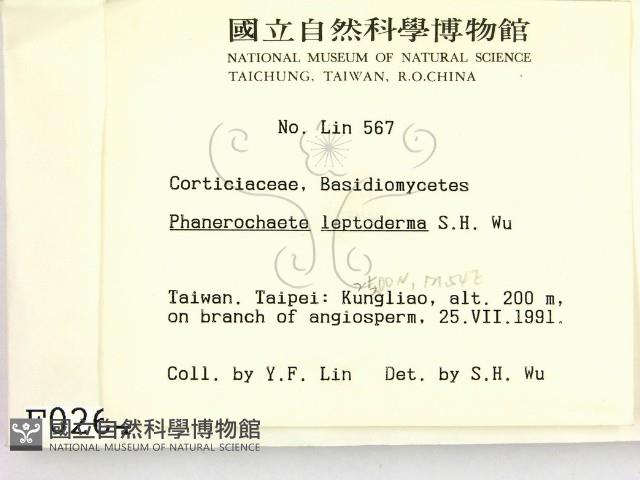 登錄號:F0000264藏品圖，第2張