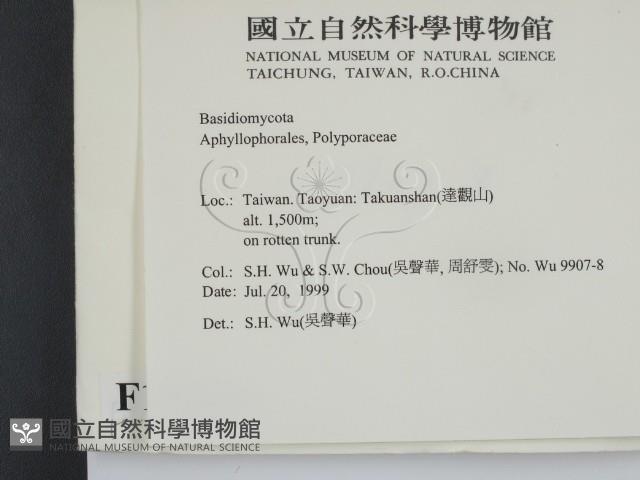 登錄號:F0010264藏品圖，第2張