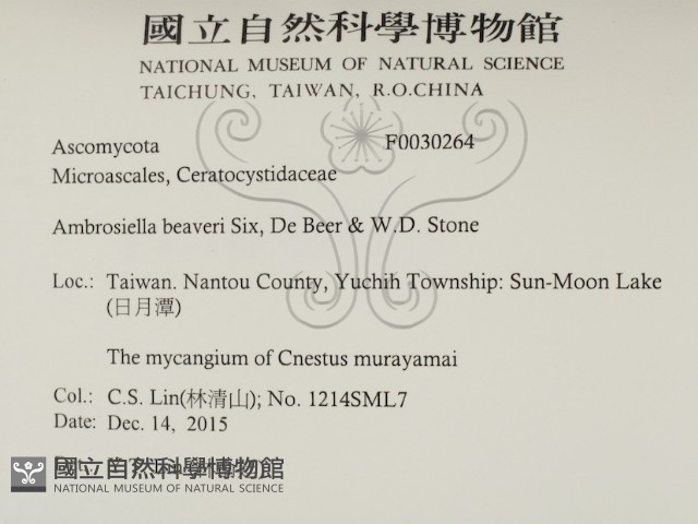 登錄號:F0030264藏品圖，第2張