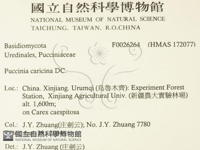 登錄號:F0026264藏品圖，第2張