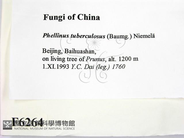 登錄號:F0006264藏品圖，第2張