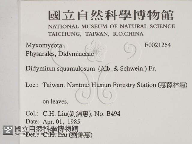 登錄號:F0021264藏品圖，第2張