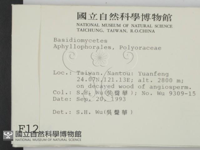 登錄號:F0001264藏品圖，第2張