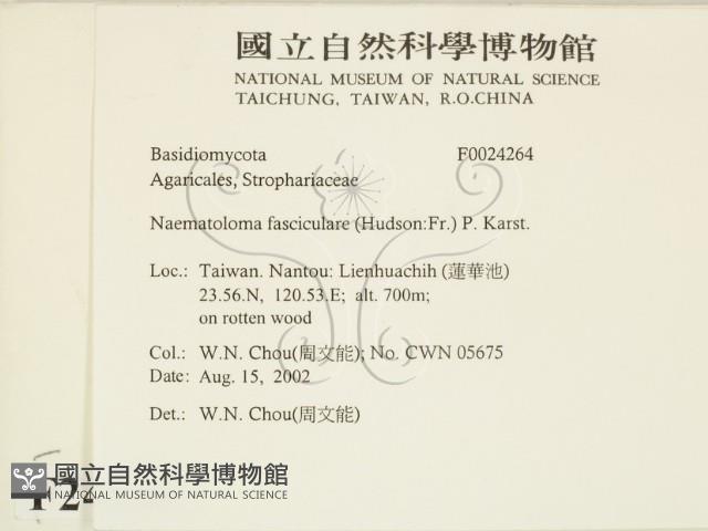 登錄號:F0024264藏品圖，第2張