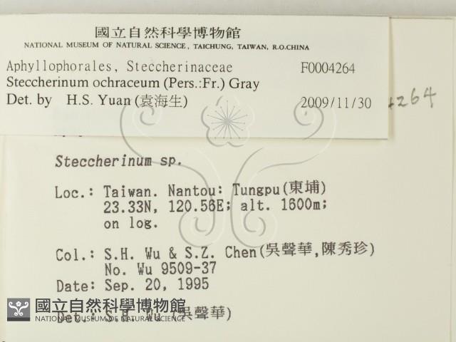 登錄號:F0004264藏品圖，第2張