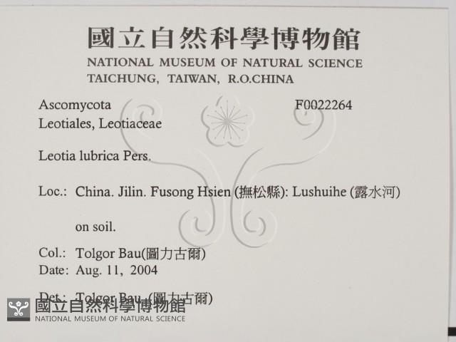 登錄號:F0022264藏品圖，第2張