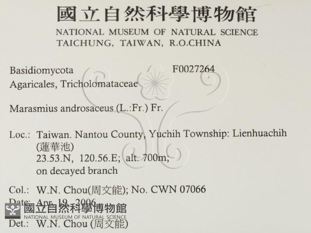 登錄號:F0027264藏品圖，第2張