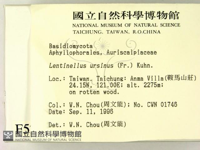 登錄號:F0005264藏品圖，第2張