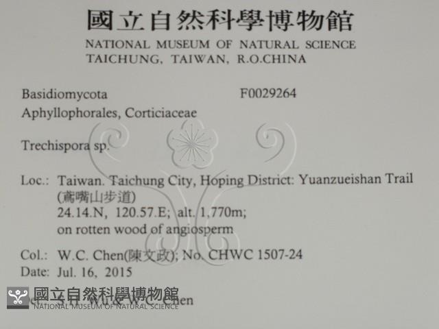 登錄號:F0029264藏品圖，第2張