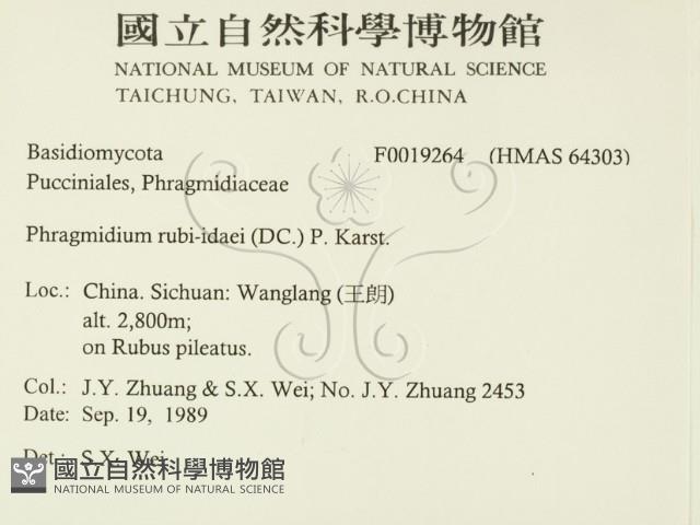 登錄號:F0019264藏品圖，第2張