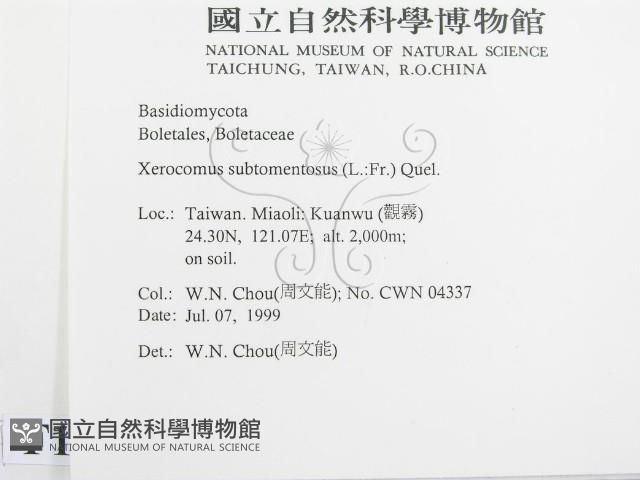 登錄號:F0013264藏品圖，第2張