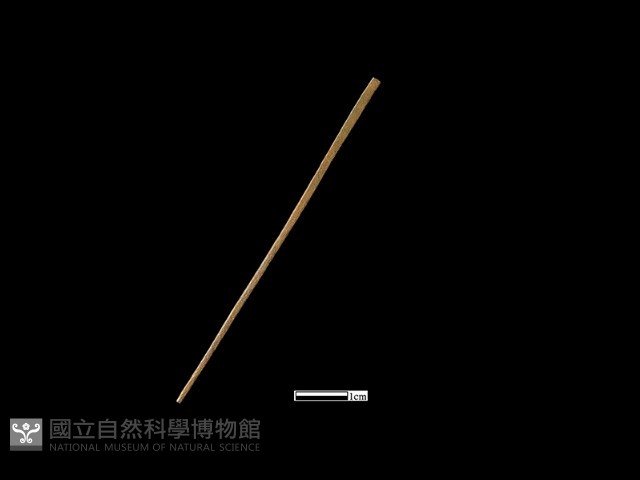 髮簪藏品圖，第1張