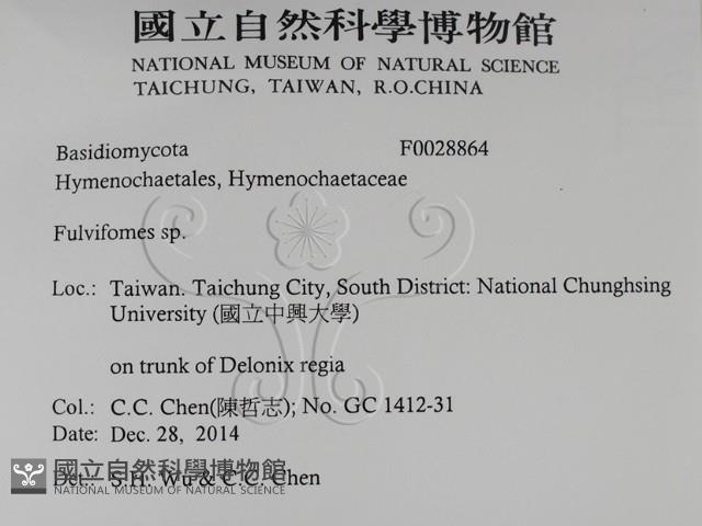 登錄號:F0028864藏品圖，第2張