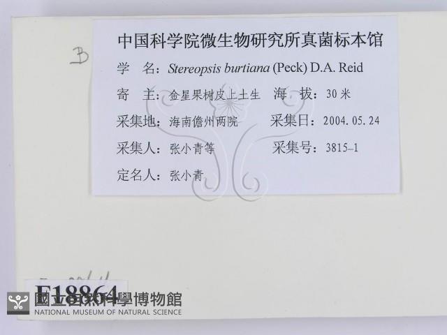 登錄號:F0018864藏品圖，第2張