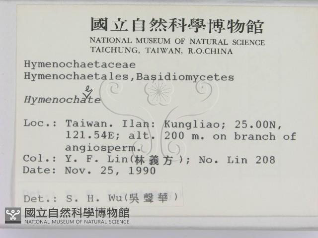 刺革菌屬藏品圖，第2張