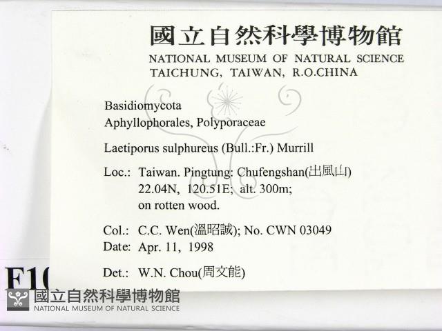 登錄號:F0010864藏品圖，第2張