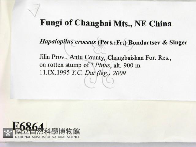登錄號:F0006864藏品圖，第2張