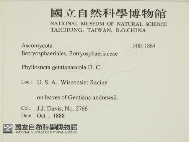登錄號:F0011864藏品圖，第2張