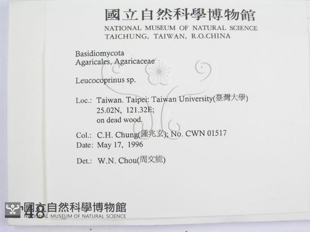 登錄號:F0004864藏品圖，第2張