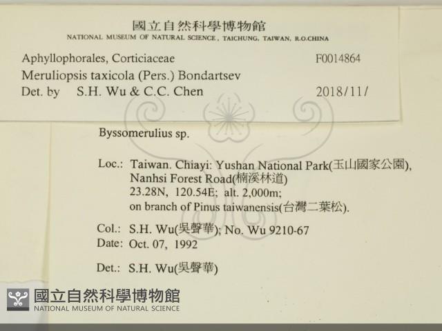 登錄號:F0014864藏品圖，第2張