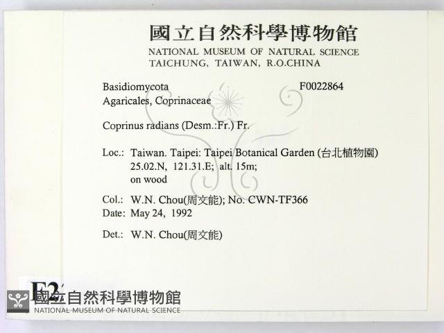 登錄號:F0022864藏品圖，第2張