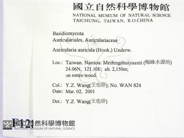 登錄號:F0012864藏品圖，第2張