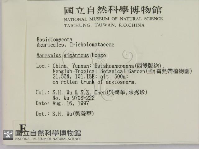 登錄號:F0007864藏品圖，第2張