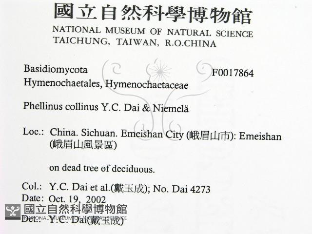 登錄號:F0017864藏品圖，第2張