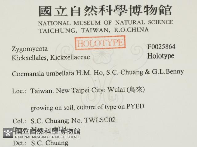 登錄號:F0025864藏品圖，第2張