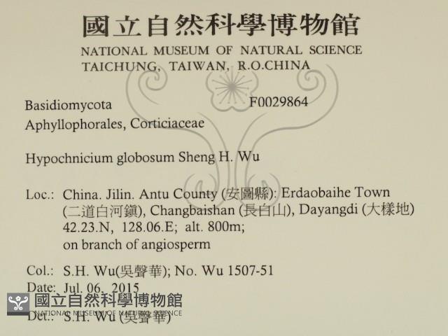 登錄號:F0029864藏品圖，第2張