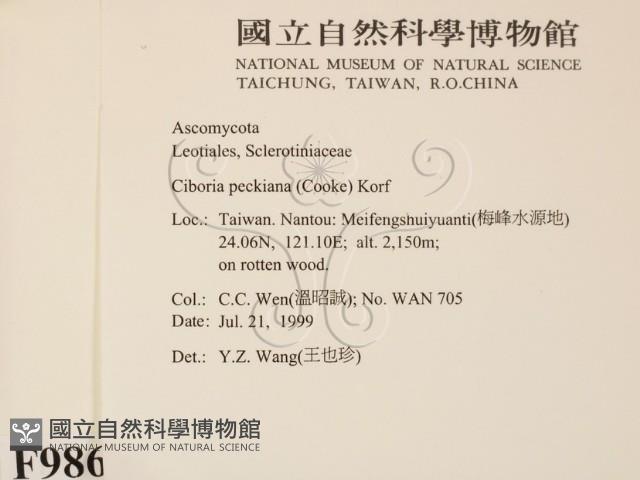 登錄號:F0009864藏品圖，第2張