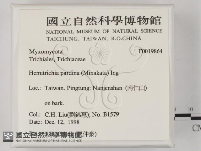登錄號:F0019864藏品圖，第2張