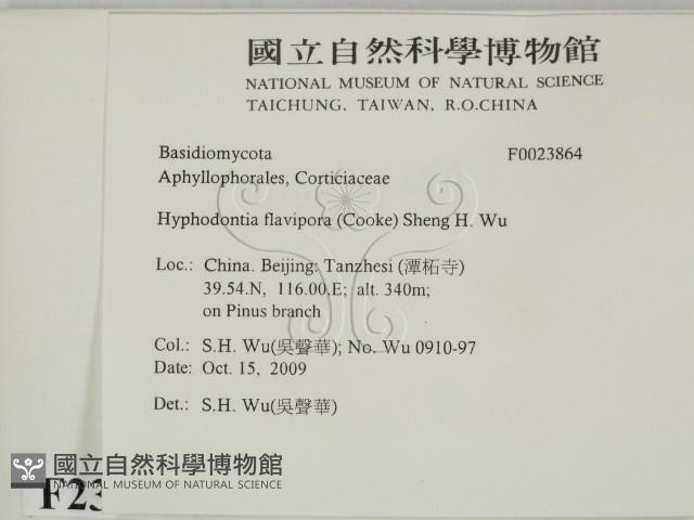 登錄號:F0023864藏品圖，第2張