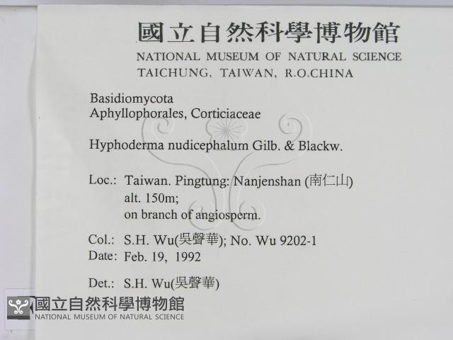 登錄號:F0013864藏品圖，第2張