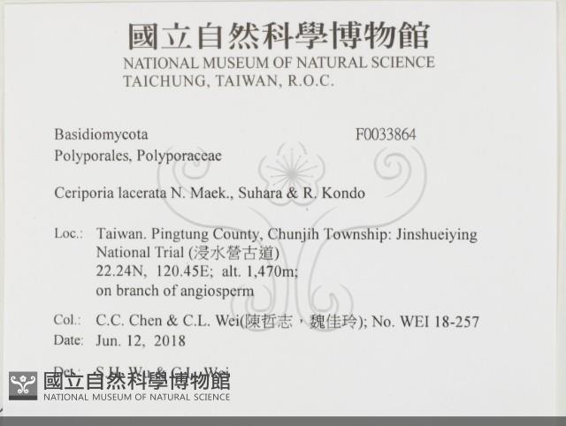 登錄號:F0033864藏品圖，第2張