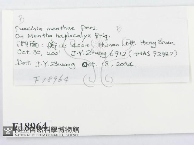 登錄號:F0018964藏品圖，第2張