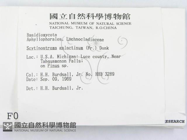 登錄號:F0000964藏品圖，第2張