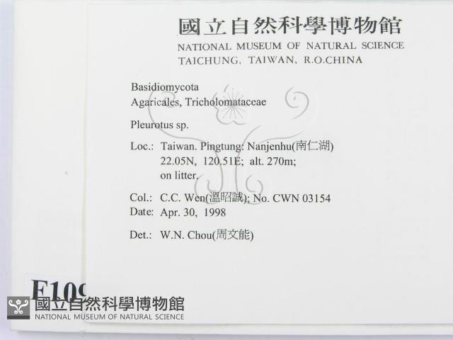 登錄號:F0010964藏品圖，第2張