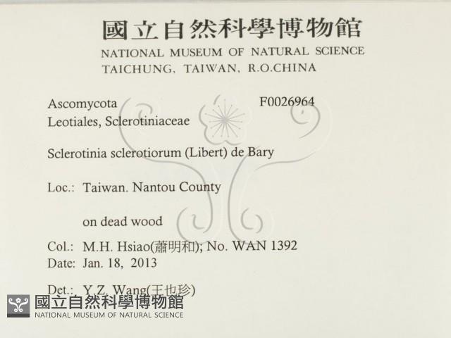 登錄號:F0026964藏品圖，第2張