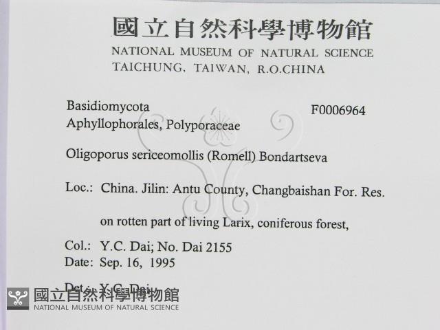 登錄號:F0006964藏品圖，第2張