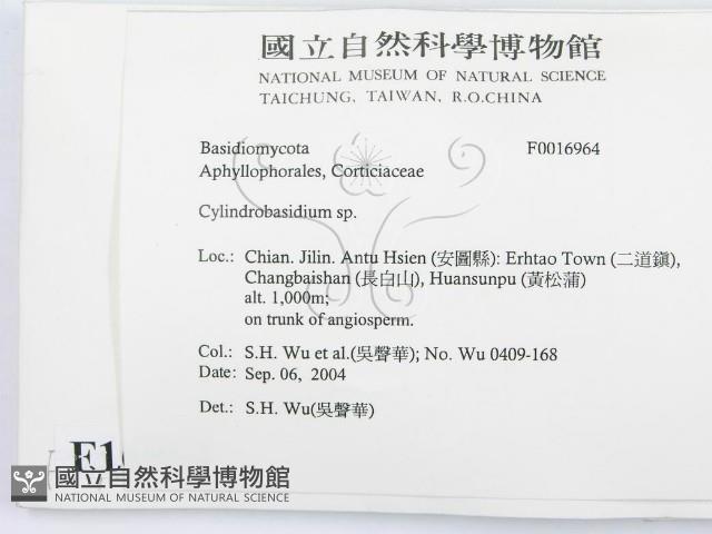 登錄號:F0016964藏品圖，第2張