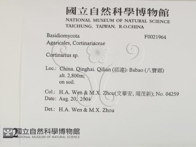 登錄號:F0021964藏品圖，第2張