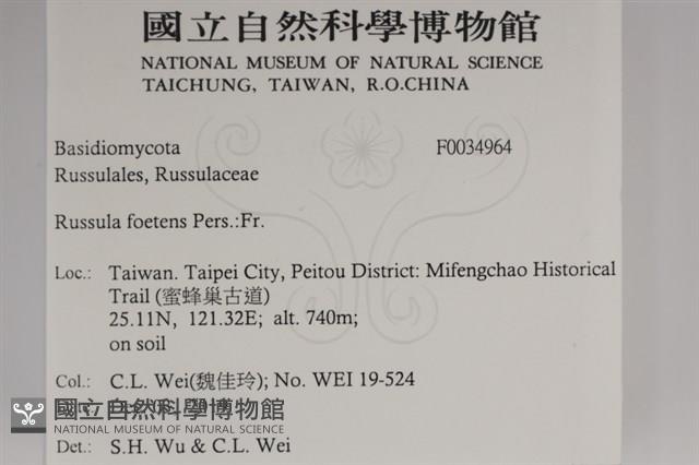 登錄號:F0034964藏品圖，第2張