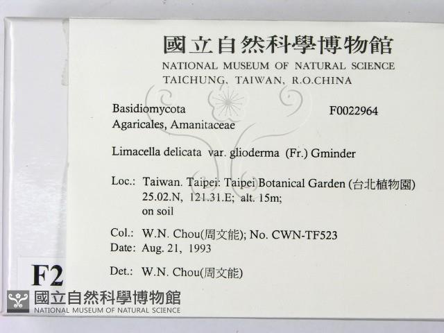 登錄號:F0022964藏品圖，第2張