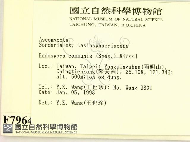 登錄號:F0007964藏品圖，第2張