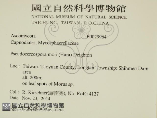 登錄號:F0029964藏品圖，第2張