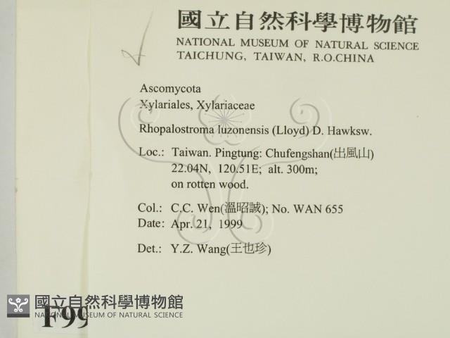 登錄號:F0009964藏品圖，第2張