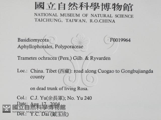 登錄號:F0019964藏品圖，第2張